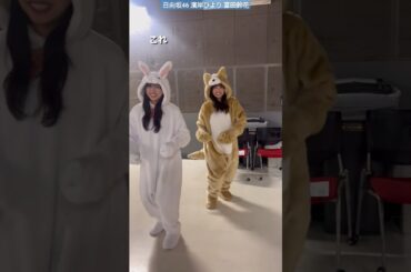 日向坂46 富田鈴花 濱岸ひより じゃれ合ううさぎいぬ♪ 新春グッズ 2024