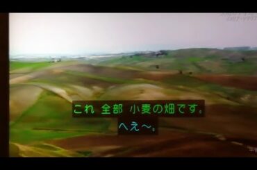 一本の道mini「文明の十字路を歩く イタリア・シチリア島」(“Walking at the crossroads of civilization: Sicily, Italy”)【1】