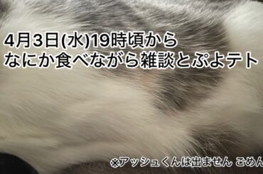【第19回生配信】なにか食べながら雑談とぷよテト【佐々木琴子】