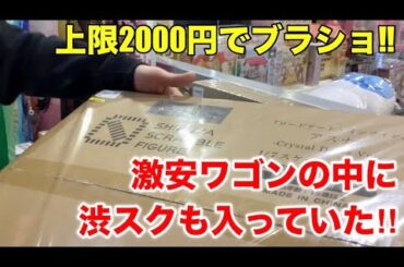 激安ワゴンに渋スクもあった‼︎ゴソゴソエリアで2000円分お買い物をする٩( 'ω' )و【王の洞窟岐南本店】
