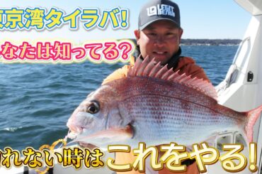 東京湾タイラバ！あなたは知ってる？釣れない時はこれをやる！