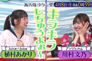 「西乃風ブラン堂」4/8(月)深夜0:59～★島根・松江市　廃れかけた温泉街に年間100万人が殺到！？復活のカギは女性憧れの○○★MC植村あかり×川村文乃