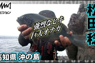 松田 稔ほか×高知県沖の島 巨大オナガ『伝心伝承 134』イントロver【釣りビジョン】その➀