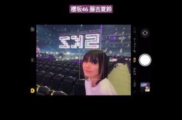 櫻坂46 藤吉夏鈴 かりんちゃんのインナーカラー♪ 全国 ツアー