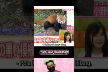 Ono Erena - Tarinai 48 | AKB 0JI 59 FUN EP.18 | AKBINGO! | AKB48 #short #shrots #shortvideo