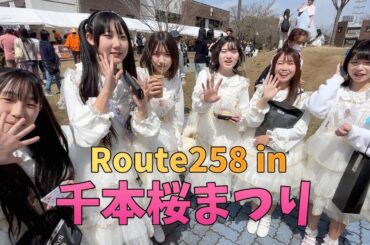 輪之内町『千本桜まつり』を満喫するご当地アイドルRoute258【2024/3/30】