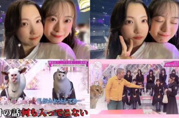 櫻坂46 村井優 谷口愛季 猫ミーム ゆうあいり