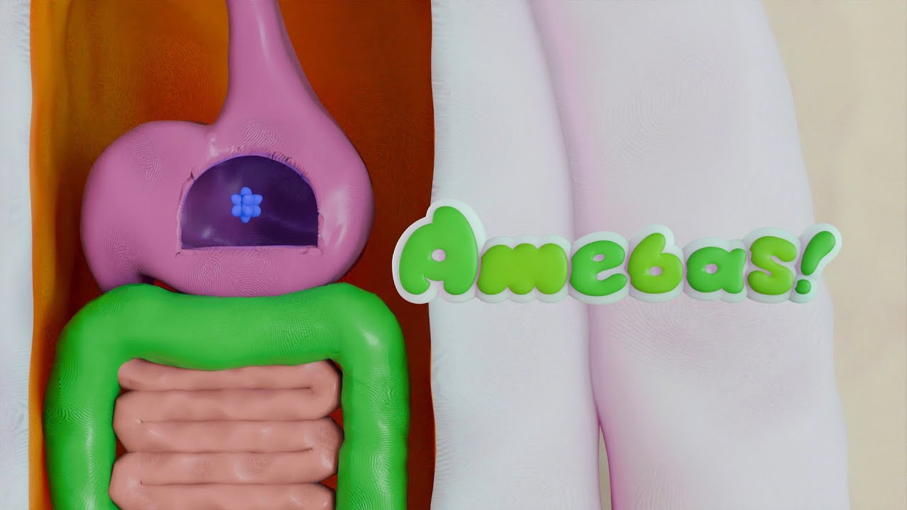 【公式】 アミーバス! #14「注射」 Amebas! #14「Injection」 【公式】 アミーバス! #14「注射」 Amebas! #14「Injection」