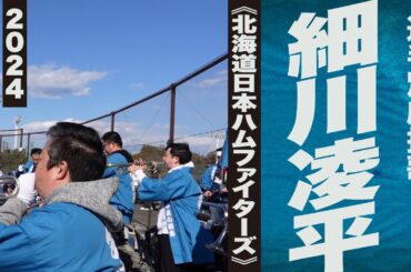 高音質🎺【2024新曲】細川凌平選手応援歌《北海道日本ハムファイターズ》2024静岡草薙球場