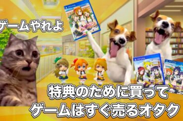 ラブライブのPS Vitaの黒歴史音ゲー【猫ミーム】 #猫マニ #猫ミーム