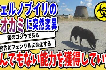 【2ch動物スレ】森のバランサー「オオカミ」チェルノブイリの禁止区域を徘徊した結果→突然変異によってとんでもない能力を手に入れてしまうwwwww【なんj】
