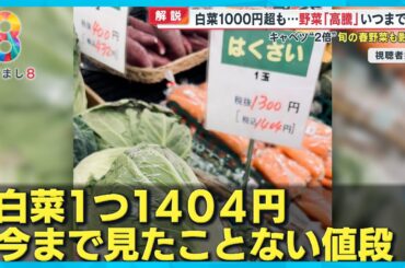 【食卓困った】白菜1000円超キャベツは2倍！？野菜高騰いつまで… スーパーアキダイ社長生出演 【めざまし８ニュース】