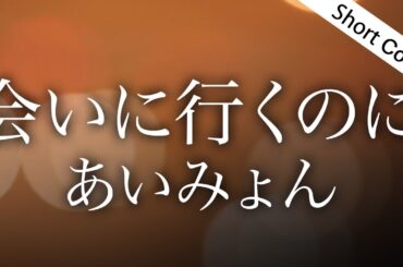 【歌詞】あいみょん「会いに行くのに」【主演・杉咲花ドラマ『アンメット ある脳外科医の日記』主題歌】Covered by ゆるり