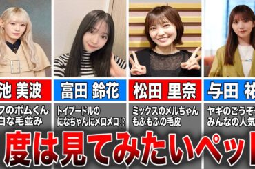【1度は見てみたい】ペットを飼っている坂道メンバー４選（小池美波、富田鈴花、松田里奈、与田祐希）