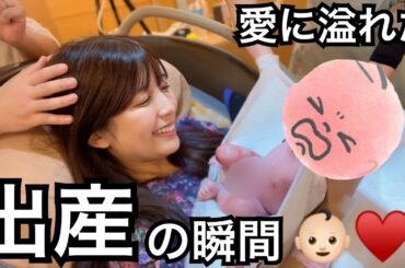 【ご報告】シルクとゆんの赤ちゃんが産まれました。