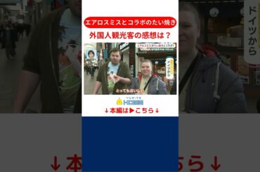 ジャケットの色に合わせたりんご餡のたい焼きです #たい焼き #広島 #shorts