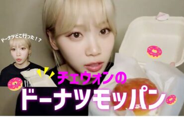 【LE SSERAFIM】チェウォンのドーナツモッパン【日本語字幕】