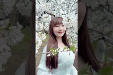 桜楓 矢倉楓子 𝒇𝒖𝒌𝒐 𝒚𝒂𝒈𝒖𝒓𝒂 2024.04.07