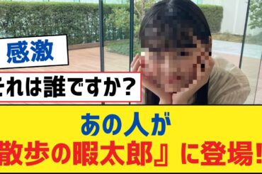【乃木坂46】あの人が『散歩の暇太郎』に登場!?【乃木坂工事中・乃木坂スター誕生・乃木坂配信中】