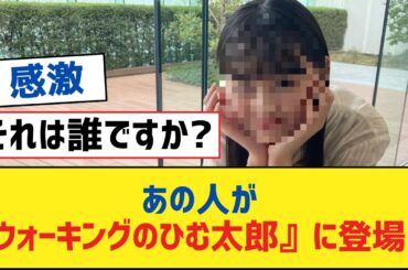 【乃木坂46】あの人が『ウォーキングのひむ太郎』に登場!?【乃木坂工事中・乃木坂スター誕生・乃木坂配信中】