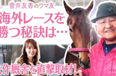 【矢作調教師＆古川奈穂騎手を初取材！】「セレクトセールで惚れ込んだ！」矢作厩舎の期待の３歳馬も登場！ゆっかーも大興奮！貴重な取材映像をご覧ください♪[菅井友香のウマ友になってくれませんか？５７]