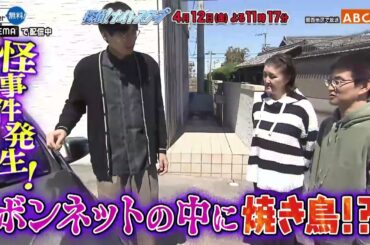 「探偵！ナイトスクープ」4月12日（金）深夜放送