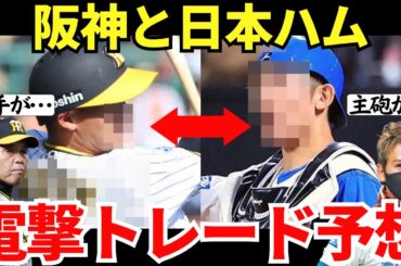 【確実に優勝するための電撃トレード！？】トレードをしない宣言していた岡田監督と岡田監督を尊敬する新庄監督との間でトレードが成立する？