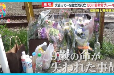 【犬を追って】9歳女児列車にひかれ死亡 警報機も遮断機もない踏切…なぜ防げない？【めざまし８ニュース】