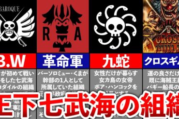 【ONEPIECE】新旧七武海の組織全まとめ