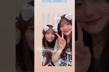 日向坂46 河田陽菜 濱岸ひより 喧嘩していない猫のひなひよ♪ エイプリルフール