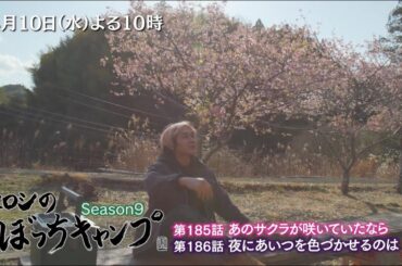 [TVerで配信中] 4/10(水)よる10時「ヒロシのぼっちキャンプ」桜が見頃と聞いてお花見キャンプを敢行！焚き火が照らす桜の美しさをご覧ください♪