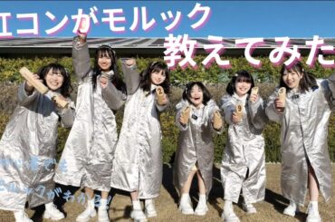 【モルック初心者】虹コンがモルック教えてみた！