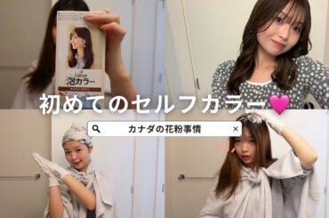 [初セルフカラー]カナダで髪染めると高いから自分でやってみた！Liese泡カラー🫧