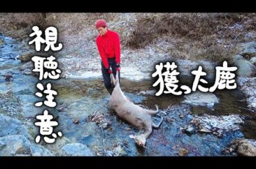 #2-A 【⚠️視聴注意】仕留めた鹿・鹿肉の一時保存