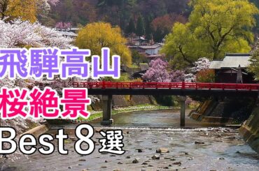 飛騨高山の桜絶景ベスト8選！ / 中橋・江名子川・飛騨東照宮・城山公園・臥龍桜など / Top 8 Best cherry blossom spots in Hida Takayama, Japan