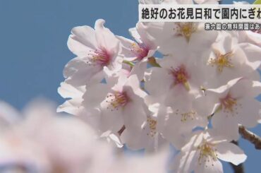 石川テレビ 夕方のニュース　4月10日（水）放送分