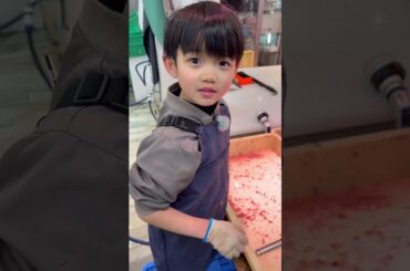 夢が叶いました！#shorts#夢