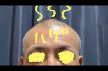 ピットブルやヤストはなぜ非を認めないのか💢　　　　　このままでは許せん‼️ 築地へ💢