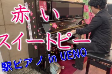 「赤いスイートピー」松田聖子　駅ピアノで演奏してみました【上野駅】
