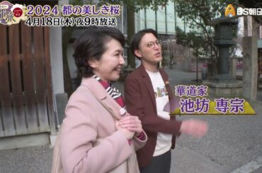 2024 都の美しき桜【あなたの知らない京都旅 ～１２００年の物語～】