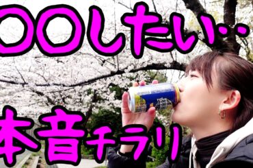 花見酒でお仕事への本音語りと人間観察