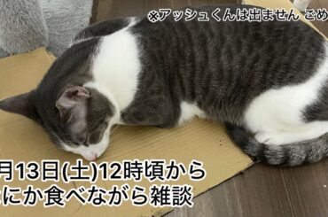 【第20回生配信】なにか食べながら雑談【佐々木琴子】