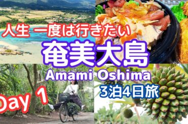 【奄美大島3泊4日#1】人生一度は訪れたい!!車なし電動チャリでサイクリングロードを南国の風を切って進む～/amami oshima