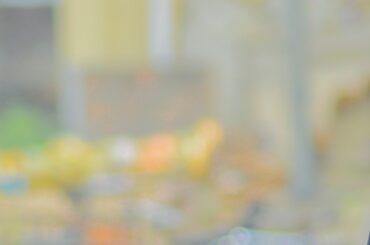 嗚呼!!みんなの動物園  2024年4月13日 LIVE FULL【1080pHD】 New