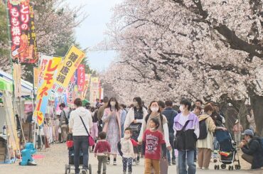 新町駐屯地内で桜まつり　群馬県・高崎市(24/04/06)