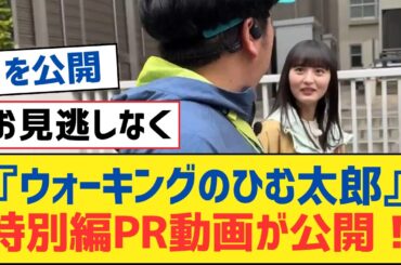 【乃木坂46】『ウォーキングのひむ太郎』特別編PR動画が公開！【乃木坂工事中・乃木坂スター誕生・乃木坂配信中】