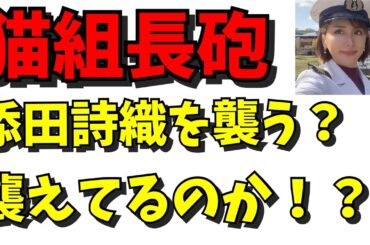 【猫組長砲　2発目発射！添田詩織に刺さるのか！？】添田詩織が　元反社　若野康玄と親密な関係！？　#日本保守党  #若野康玄　#矢野康生