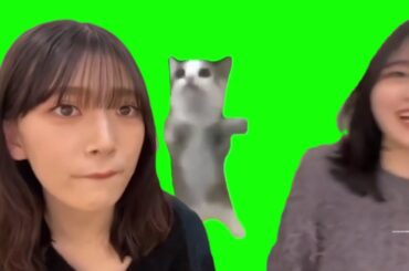 村山美羽 的野美青 猫ミーム みおミーム みうみお