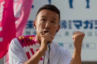 総選挙は6月❣️れいわは躍進する