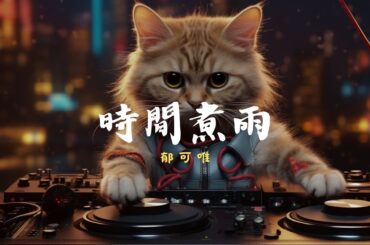 郁可唯 - 時間煮雨, GAI - 愛如潮水改編, 季彥霖 - 你一定要幸福 _ 抖音歌曲2024，睡覺時聽的音樂【動態歌詞Lyrics】